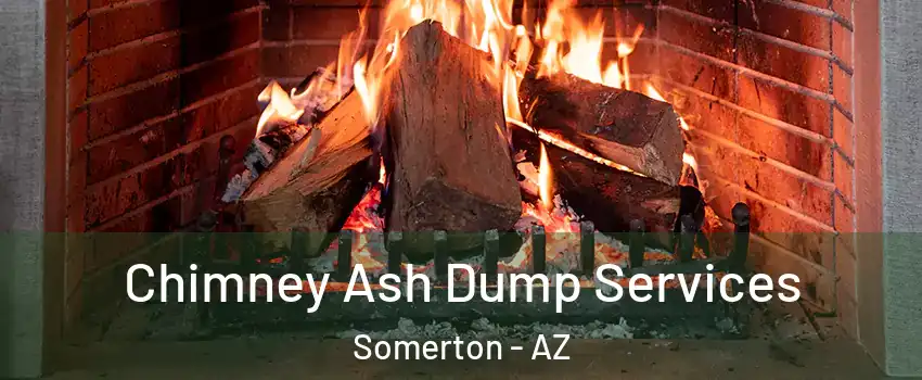  Chimney Ash Dump Services Somerton - AZ