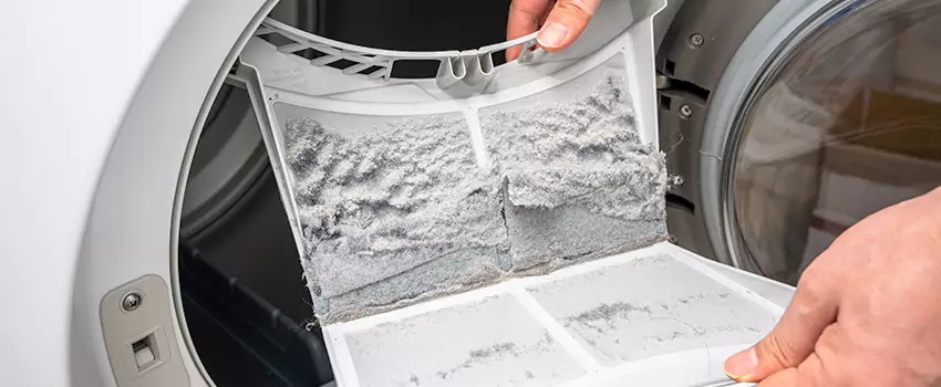 Best Dryer Lint Removal Company in Somerton, Arizona