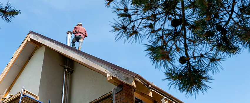 Birds Removal Contractors from Chimney in Somerton, AZ
